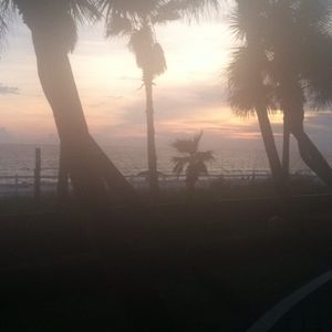 Meet your Posher, Dee